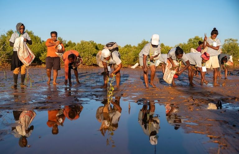 Planting day - Tree Nation - Eden Reforestation Project in Madagascar